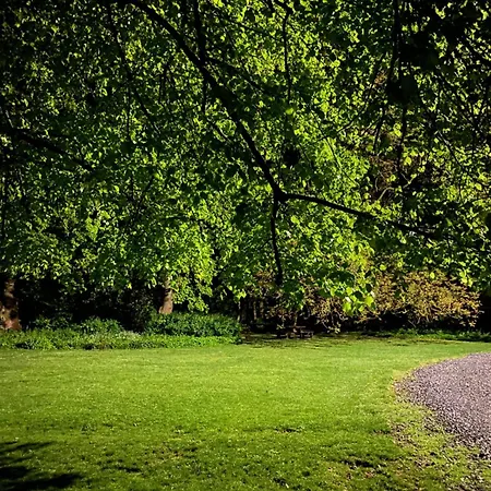 Confiturerie Bed & Breakfast Braives